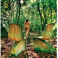 casamania_74