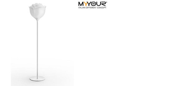 myyour_1